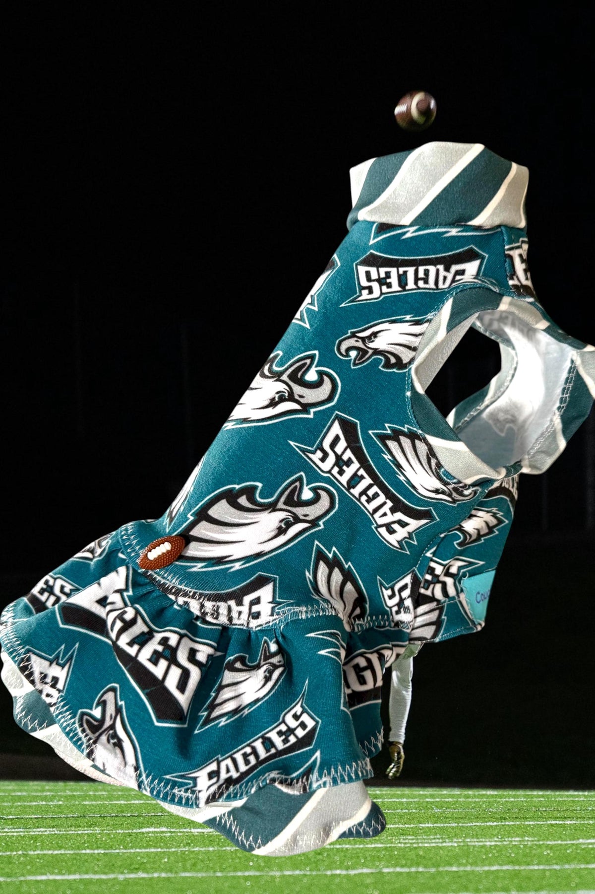 GO BIRDS DRESS for Small Pets, Handmade Pet Clothing