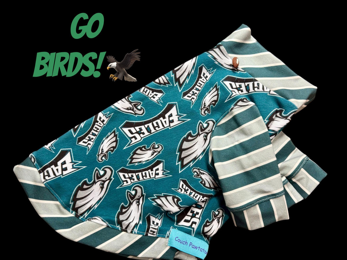 PHILADELPHIA EAGLES Shirt for Small Pets:  Handmade Dog Sports Apparel