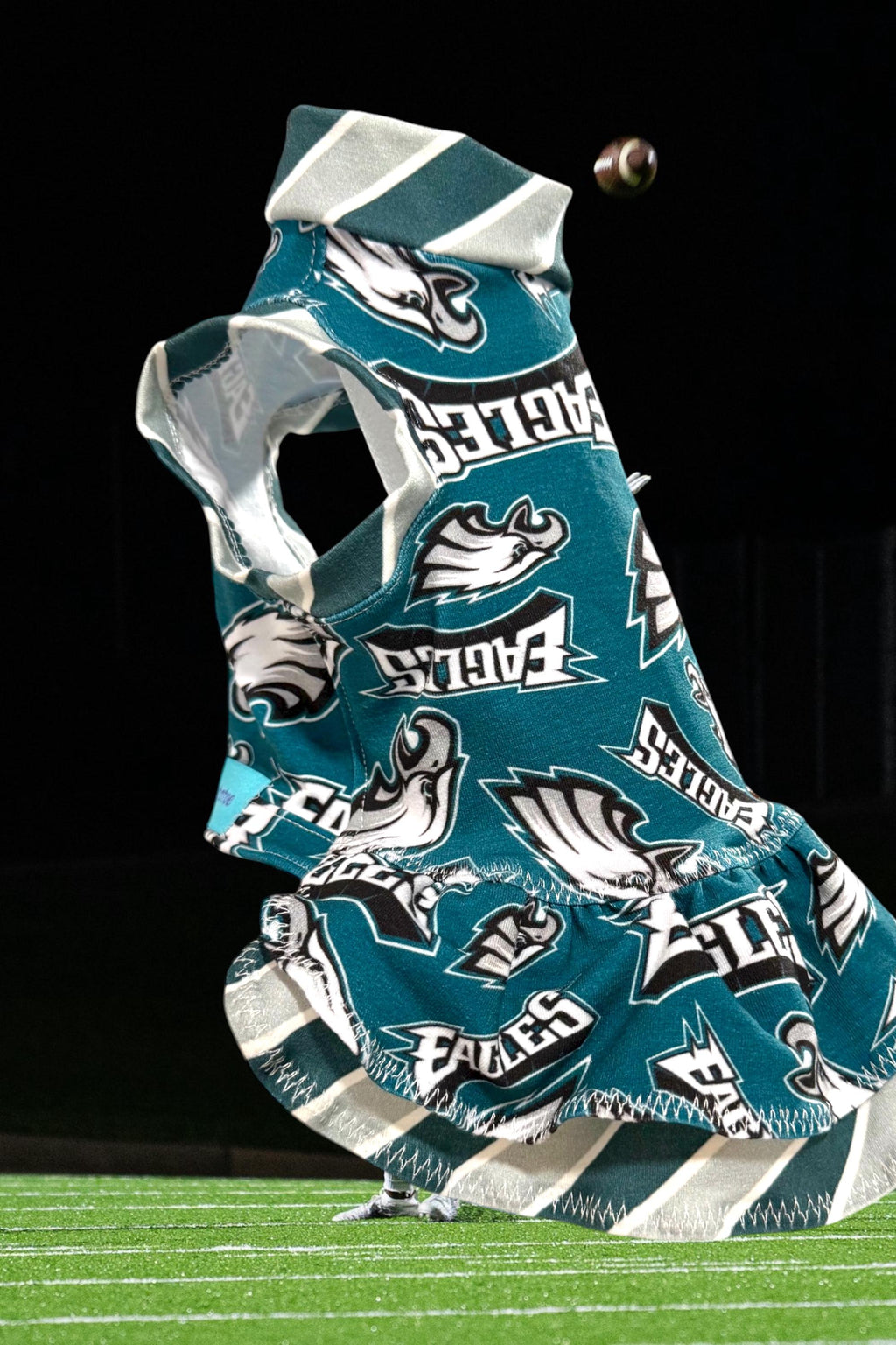GO BIRDS DRESS for Small Pets, Handmade Pet Clothing