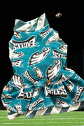 GO BIRDS DRESS for Small Pets, Handmade Pet Clothing