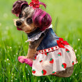 STRAWBERRY FIELDS DENIM Jacket for Small Dogs, Spring Outfit for Pets