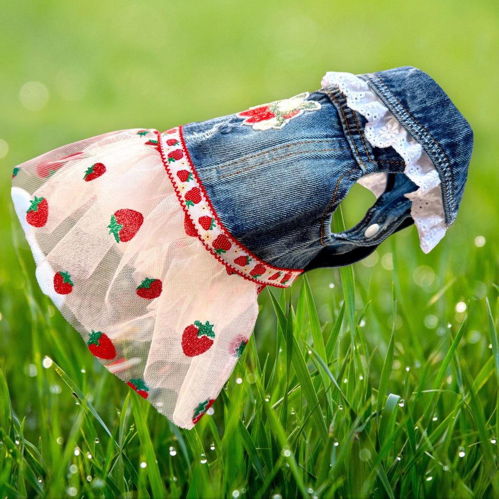 STRAWBERRY FIELDS DENIM Jacket for Small Dogs, Spring Outfit for Pets