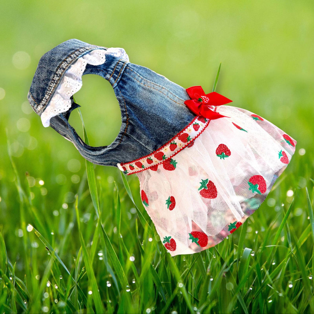 STRAWBERRY FIELDS DENIM Jacket for Small Dogs, Spring Outfit for Pets