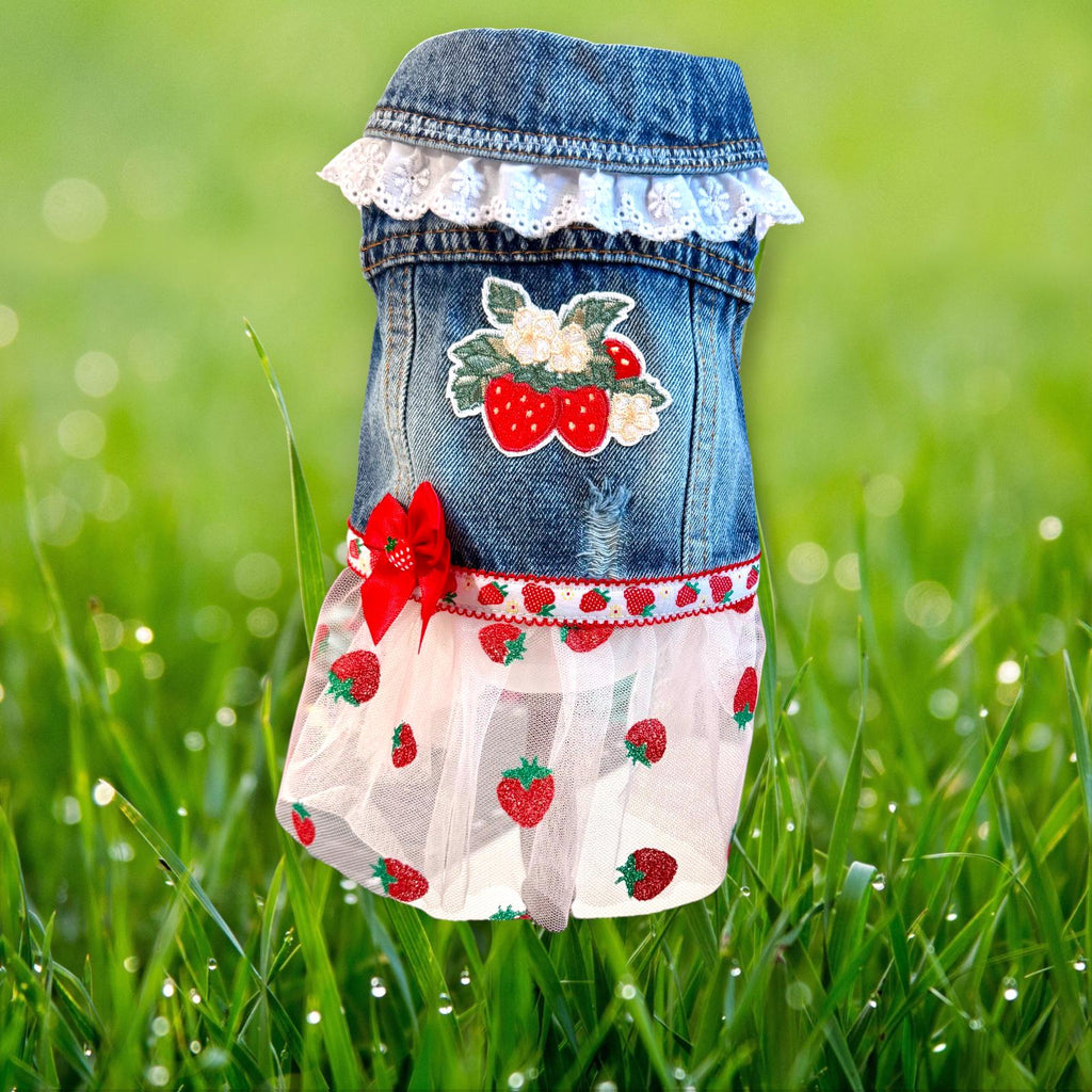 STRAWBERRY FIELDS DENIM Jacket for Small Dogs, Spring Outfit for Pets
