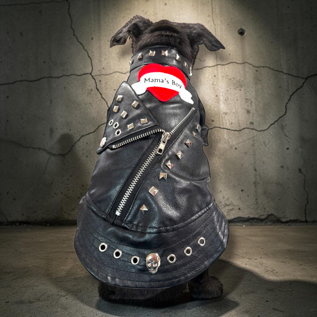 MAMMA'S BOY MOTTO Jacket for Small Pets, Embellished pleather jacket