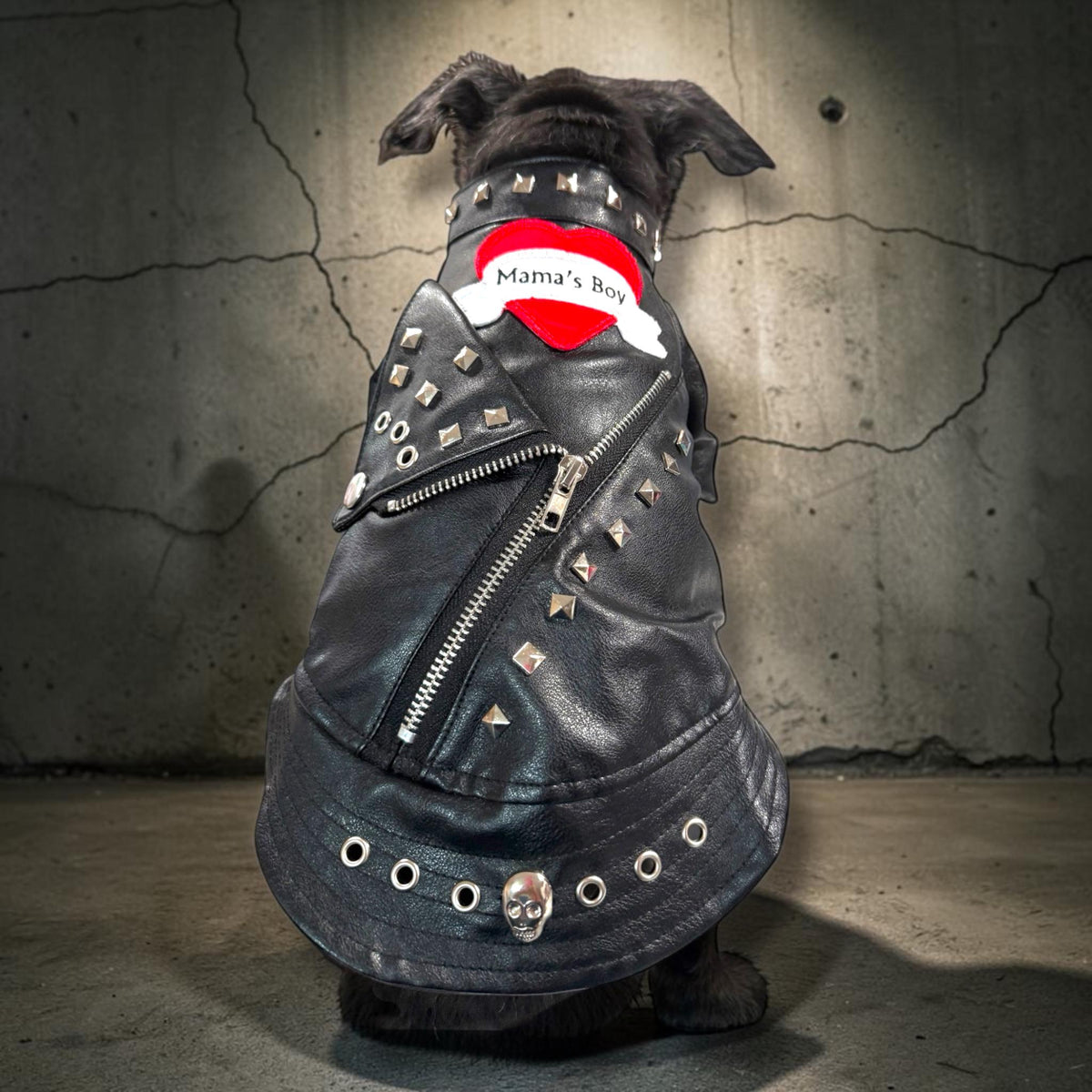 MAMMA'S BOY MOTTO Jacket for Small Pets, Embellished pleather jacket