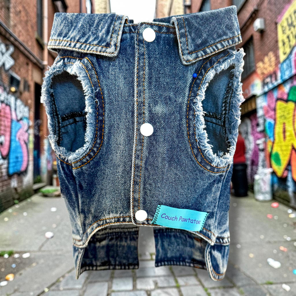 JUDAS POOCH ROCKER Vest for Small Dogs
