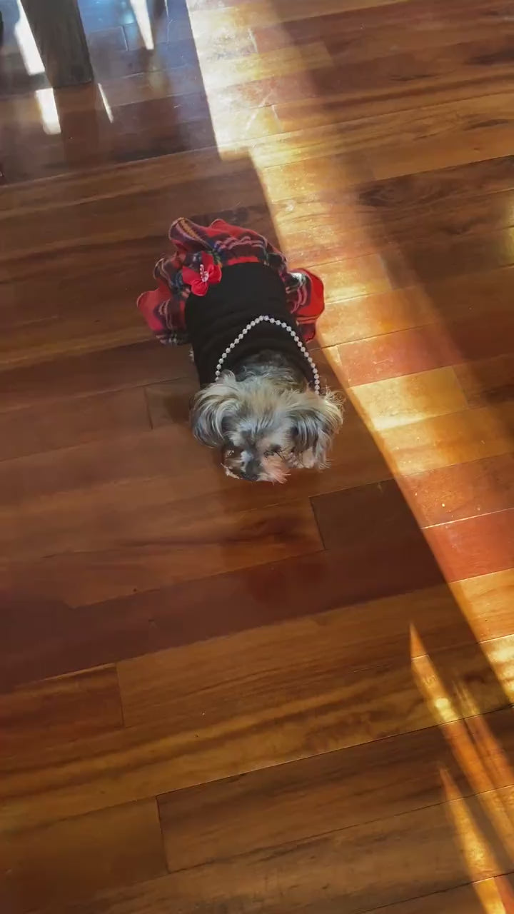 PARTY GIRL HOLIDAY Fleece Dress for Small Dogs, Handmade with Plaid Skirt, Pearls, Bow