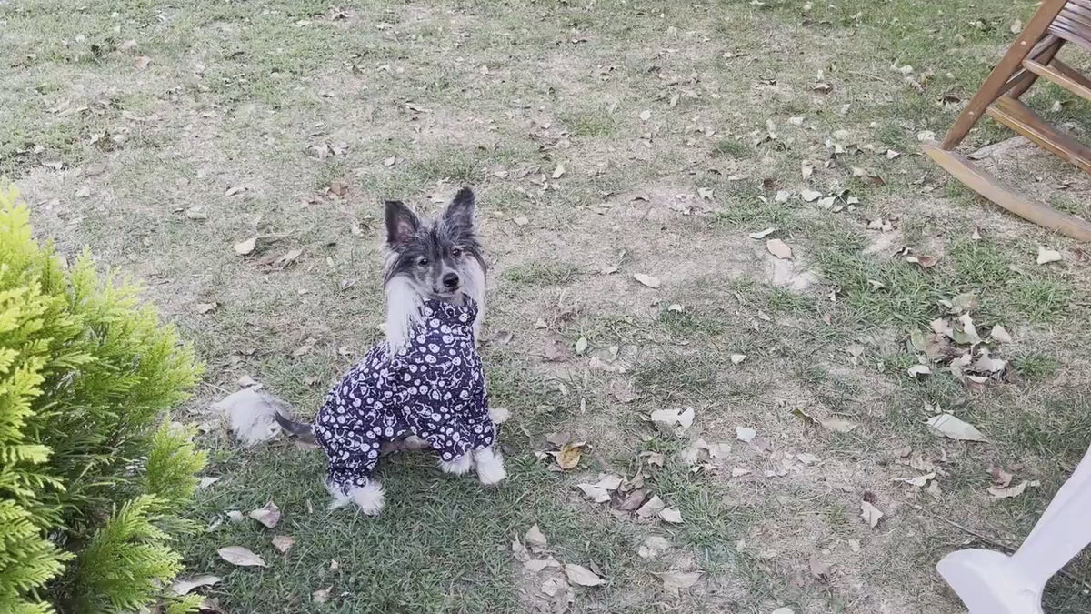 BONE YARD SKELETONS Waffle Knit Pet Jammies: Handmade Halloween Dog Onesie