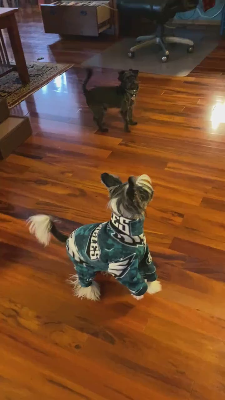 EAGLES FOOTBALL FLEECE Dog Onesie, Football Jammies for Small Pets