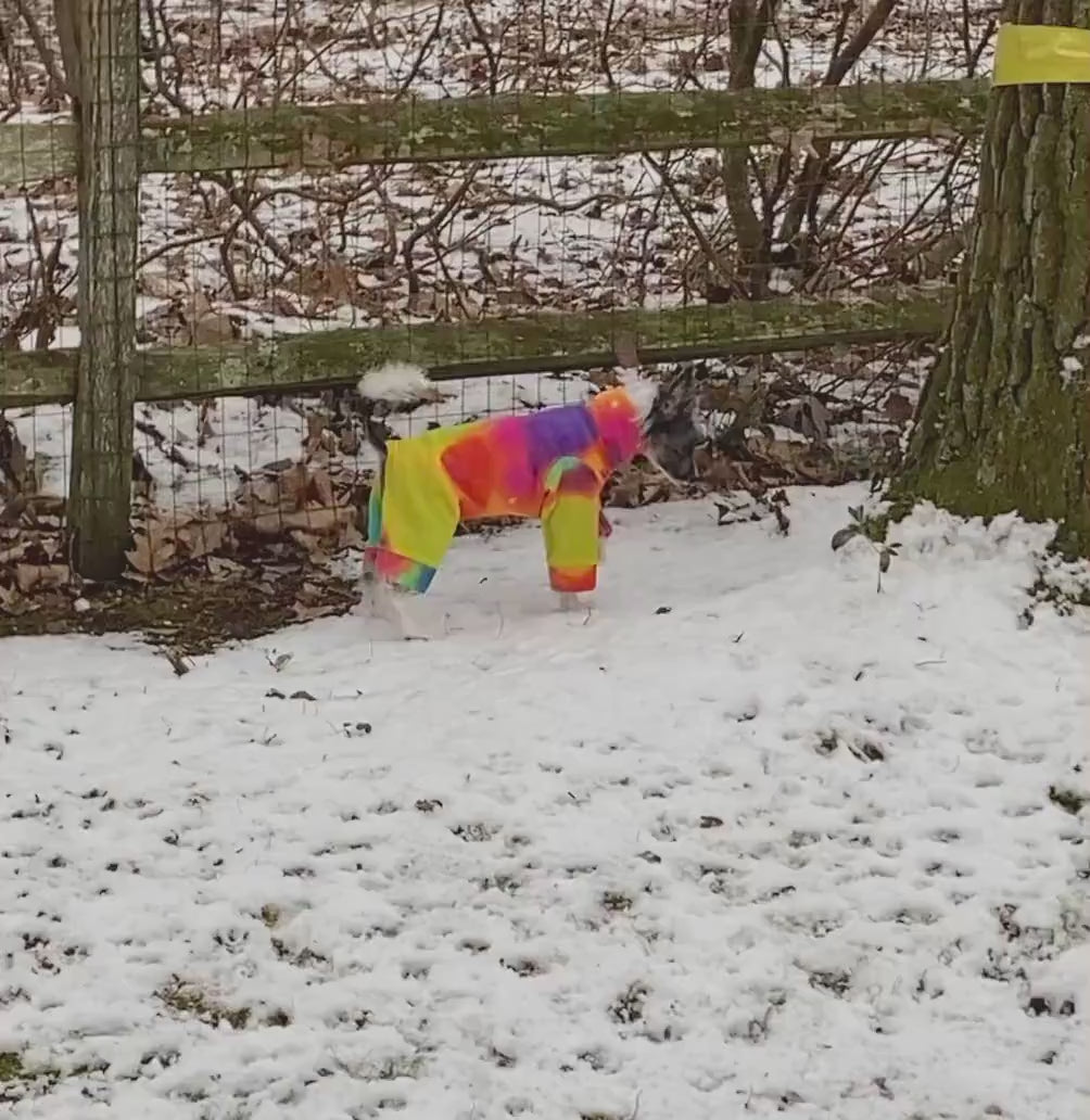TIE DYE PLUSH Fleece Dog Jammies, Winter Onesie for Small Pets